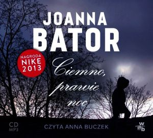 Ciemno, prawie noc