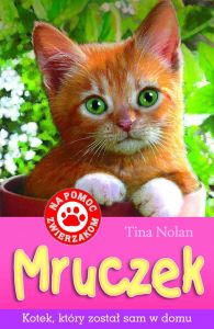 Mruczek - kotek, który został sam w domu