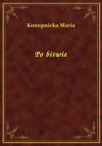 Po bitwie
