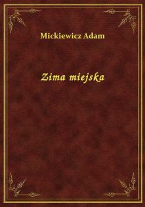 Zima miejska