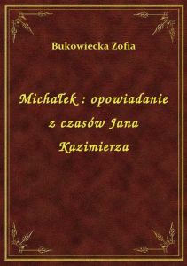 Michałek : opowiadanie z czasów Jana Kazimierza
