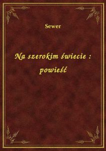 Na szerokim świecie : powieść