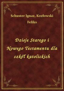 Dzieje Starego i Nowego Testamentu dla szkół katolickich