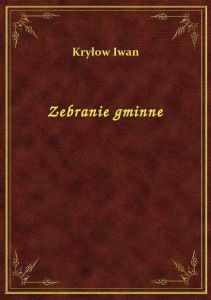 Zebranie gminne