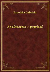 Szaleństwo : powieść
