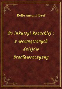 Po inkursyi kozackiej : z wewnętrznych dziejów bracławszczyzny