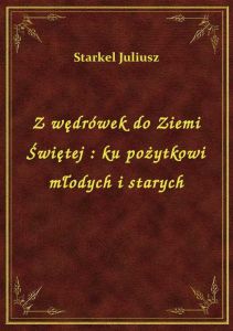 Z wędrówek do Ziemi Świętej : ku pożytkowi młodych i starych