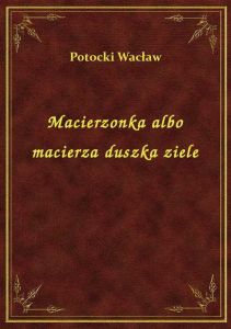 Macierzonka albo macierza duszka ziele