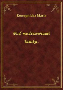 Pod modrzewiami ławka.