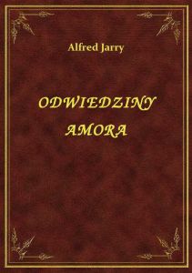 Odwiedziny Amora