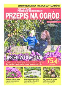 przepis_na_ogrod-burda-2015_11-cov