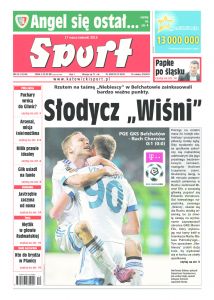 rt-axel_springer_polska-20150317-cov