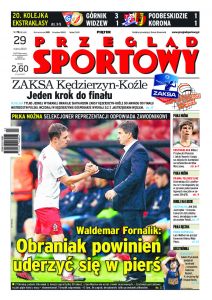 wy-axel_springer_polska-20130329-cov