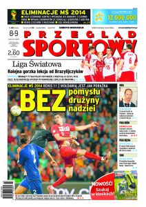 wy-axel_springer_polska-20130608-cov