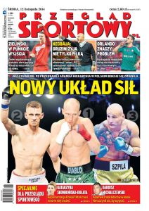 wy-axel_springer_polska-20141112-cov